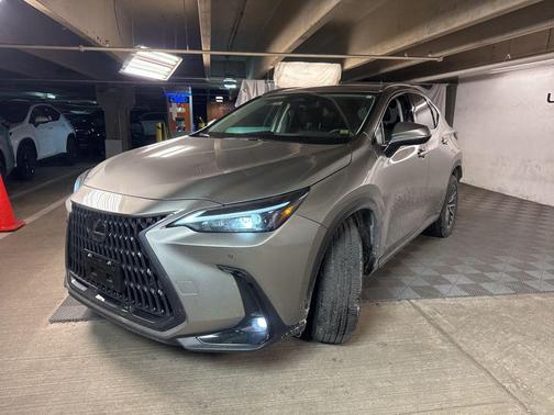 2023 Lexus NX 350 Premium