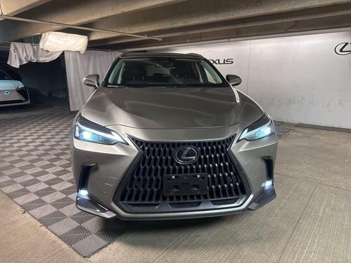 2023 Lexus NX 350 Premium