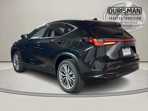 2024 Lexus NX 350 Luxury