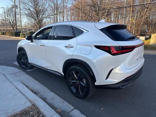 2025 Lexus NX 450h+ Luxury