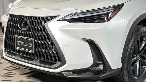 2025 Lexus NX 450h+ Luxury