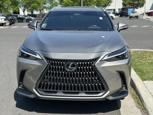 2023 Lexus NX 350 Premium