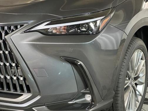 2025 Lexus NX 350h Premium