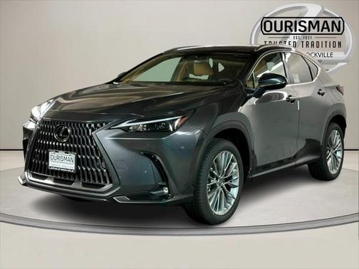 2025 Lexus NX 350h Premium