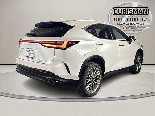 2024 Lexus NX 350h Luxury