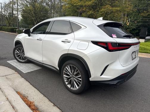 2024 Lexus NX 350h Luxury
