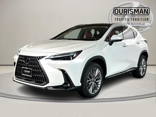 2024 Lexus NX 350h Luxury