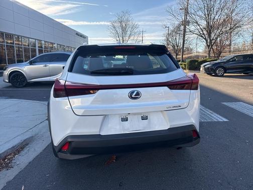2019 Lexus UX 250h F Sport