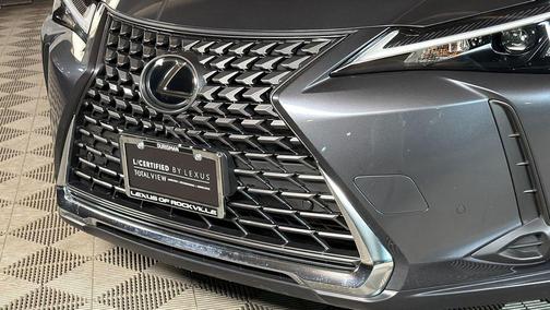 2025 Lexus UX 300h Premium