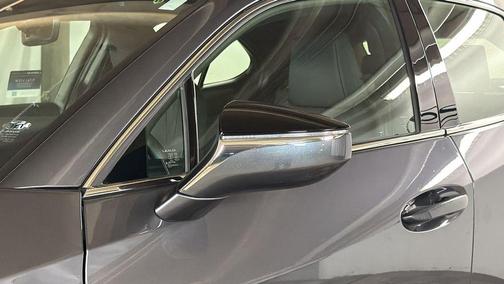 2025 Lexus UX 300h Premium