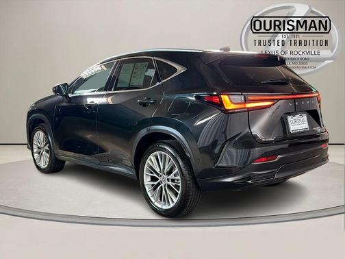 2025 Lexus NX 350 Luxury