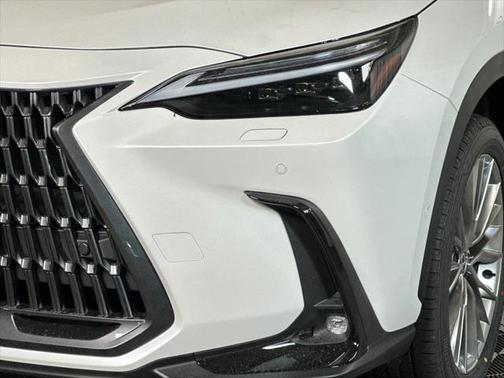 2025 Lexus NX 350 Luxury