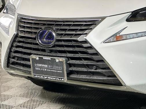 2020 Lexus NX 300h Base
