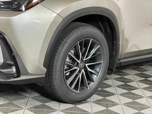 2025 Lexus NX 350 350 Base