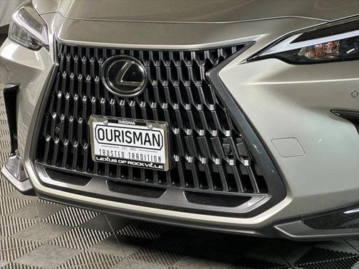 2025 Lexus NX 350 350 Base