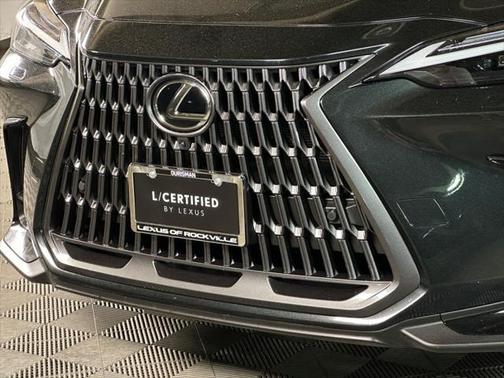 2024 Lexus NX 350h Luxury