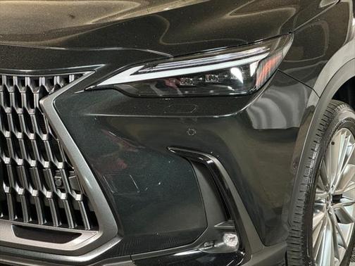 2024 Lexus NX 350h Luxury