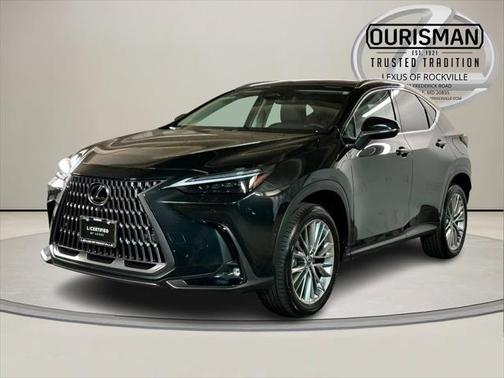 2024 Lexus NX 350h Luxury