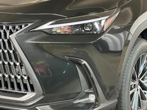2025 Lexus NX 350h Premium