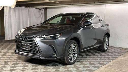 2025 Lexus NX 350 Premium