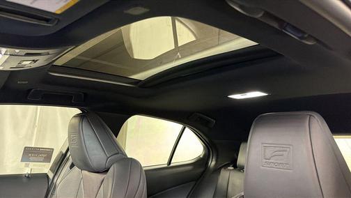 2024 Lexus UX 250h F Sport