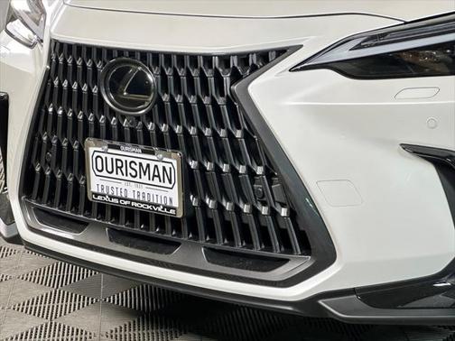 2025 Lexus NX 350 Luxury