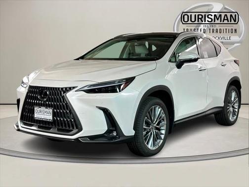 2025 Lexus NX 350 Luxury
