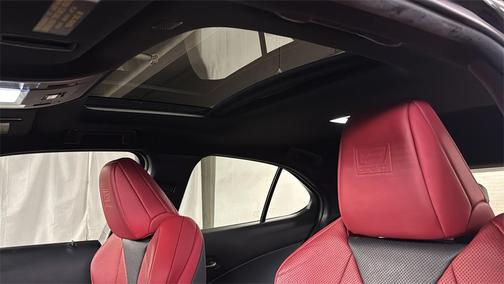 2019 Lexus UX 250h F Sport