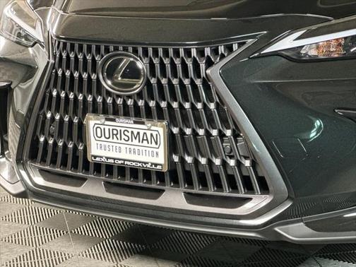 2025 Lexus NX 350h Premium
