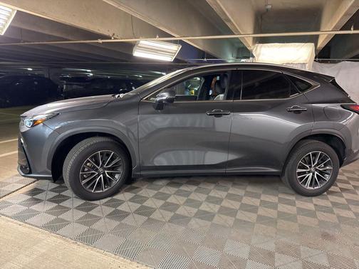 Cloudburst Gray 2023 Lexus NX 350 Premium