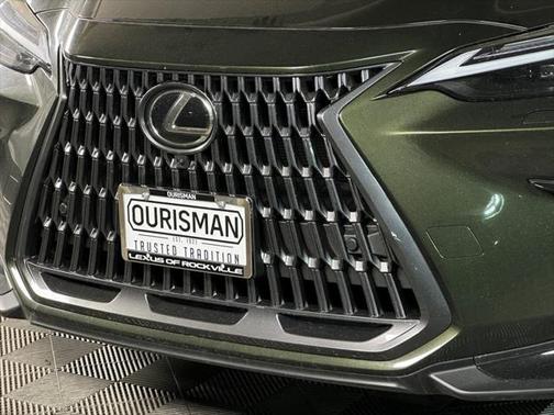 2025 Lexus NX 350 Luxury
