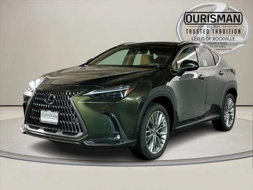 2025 Lexus NX 350 Luxury