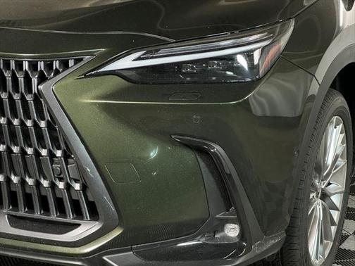 2025 Lexus NX 350 Luxury