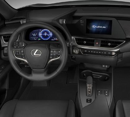 Cloudburst Gray 2026 Lexus UX 300h Premium