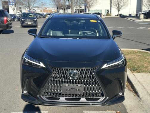 2023 Lexus NX 350 Luxury