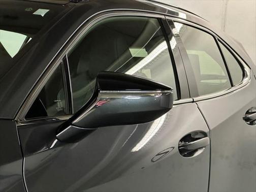 2024 Lexus UX 250h F Sport