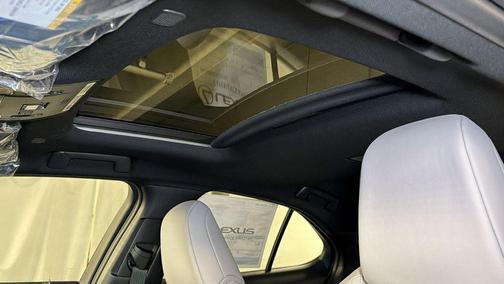 Cloudburst Gray 2026 Lexus UX 300h Premium