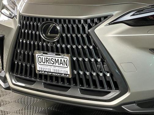 2025 Lexus NX 350 Luxury
