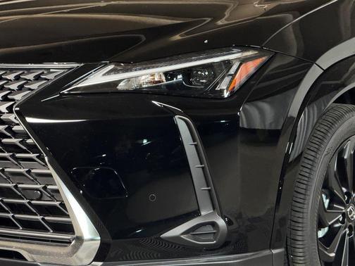 2025 Lexus UX 300h Premium