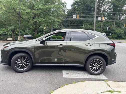 Nori Green Pearl 2023 Lexus NX 350 Premium