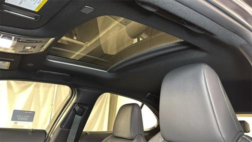 2023 Lexus UX 250h F Sport