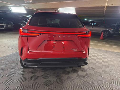 2023 Lexus NX 350 Premium