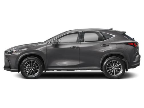 2025 Lexus NX 350h Luxury