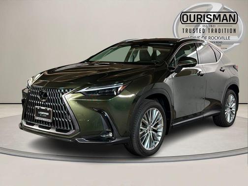 2025 Lexus NX 350h Luxury