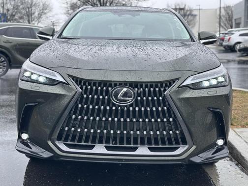2025 Lexus NX 350h Luxury