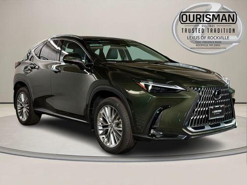 2025 Lexus NX 350h Luxury