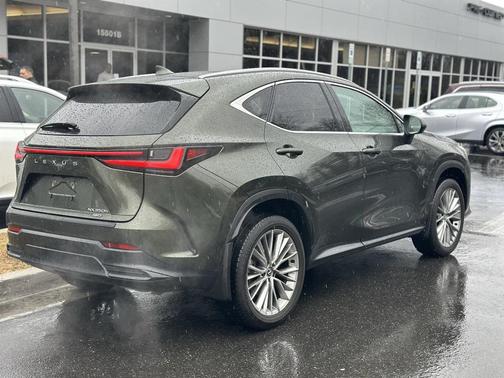 2025 Lexus NX 350h Luxury