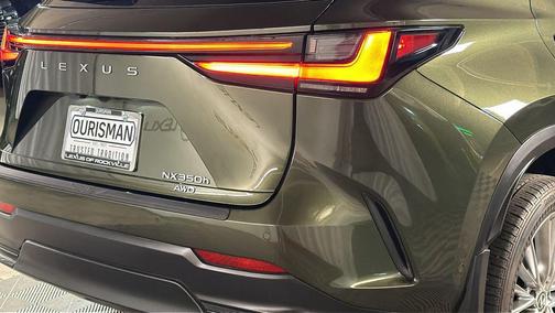 2025 Lexus NX 350h Luxury