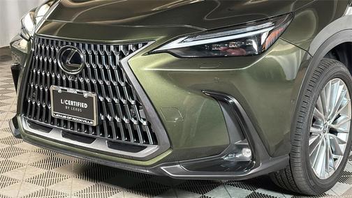 2025 Lexus NX 350h Luxury