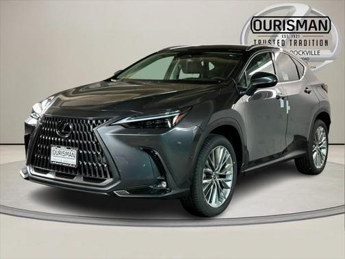 2025 Lexus NX 350 Luxury